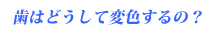 歯はどうして変色するの？
